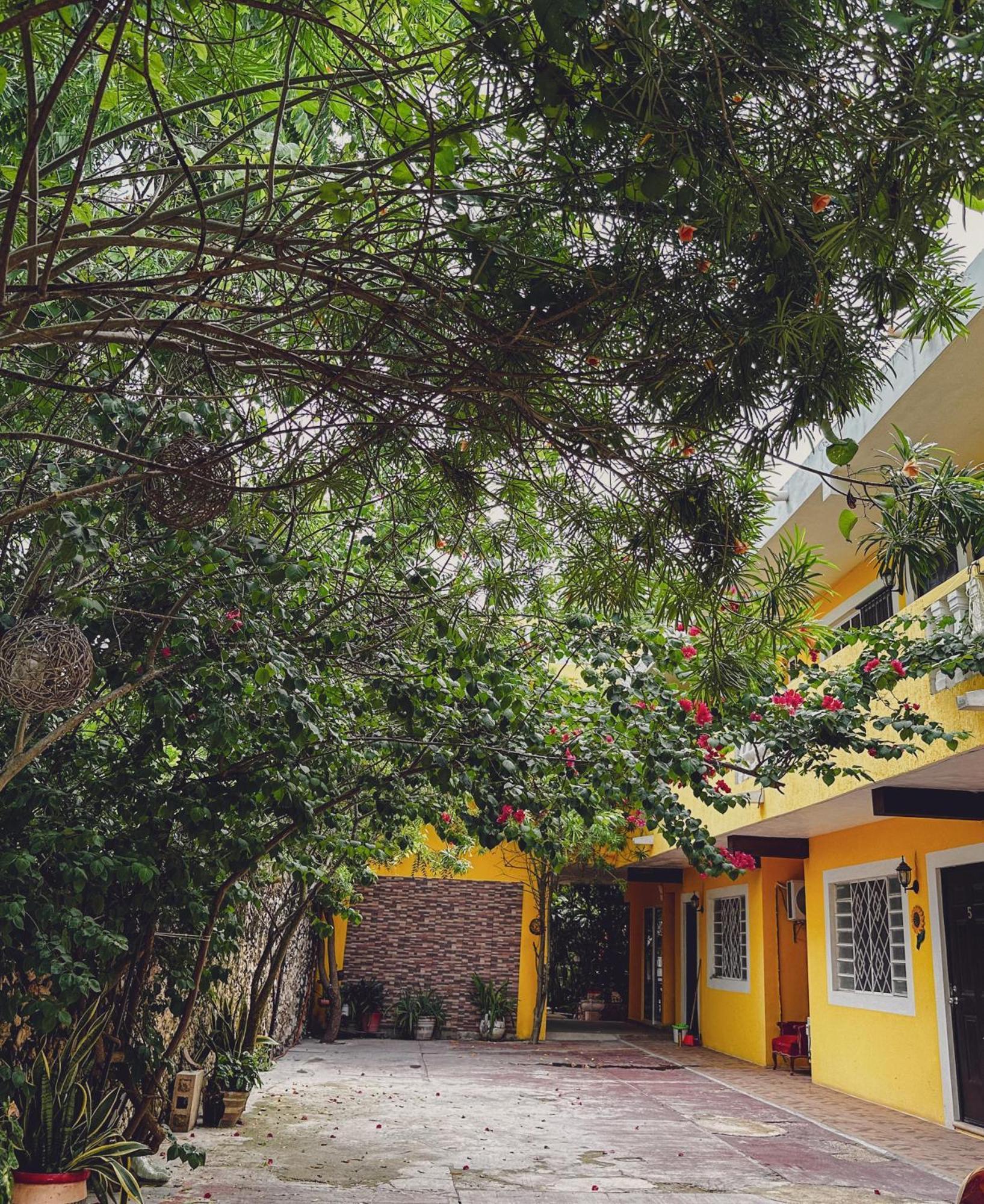 Casa Daniels Guesthouse Valladolid  Eksteriør billede